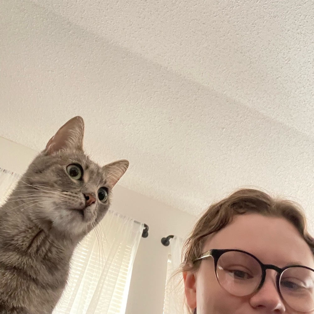 Meet your Posher, Samantha